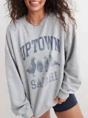 Aerie Uptown Safari City Big Chill Pigeon Sweatshirt EUC!